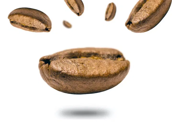 coffee beans falling falling coffee beans
